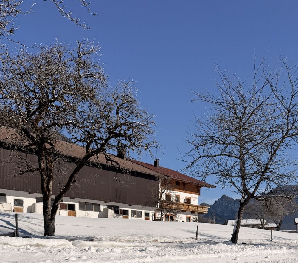 Urlaub zum Jahreswechsel 2026/27 in Walchsee – Der Marschbachhof Panorama